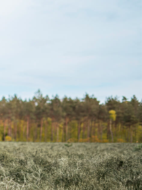 019a06c4b1987511b5b10a91b9461a1b