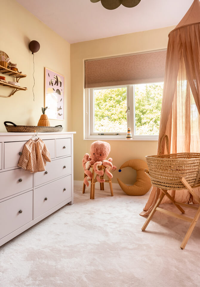 019a0a99855d74d1908eacf21445edae