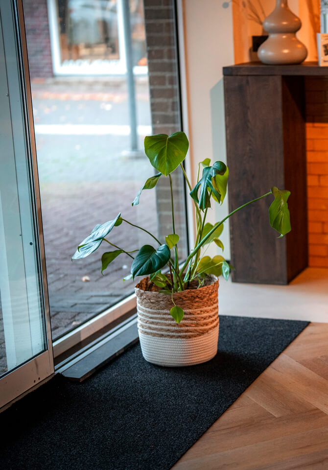 019a0a9985407584a3ab451da63a0242